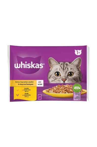 Whiskas Pouch Jöle İçinde Tavuklu ve Hindili Yetişkin Kedi Konservesi 4x85 Gr ürün görseli 1