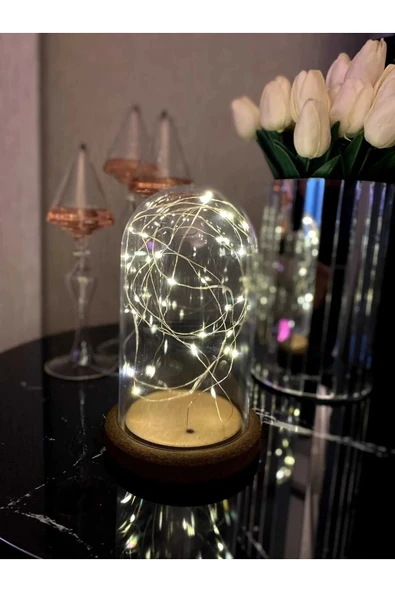 GenelTedarik Led Işıklı Gold Ters Fanus 3 Metre Peri Tel Gün Işığı Gold Teraryum Dekoratif Organizasyon Süsleme ürün görseli 1