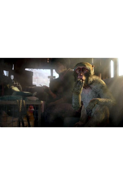 Ubisoft Ps4 Farcry 4 - Resim 3