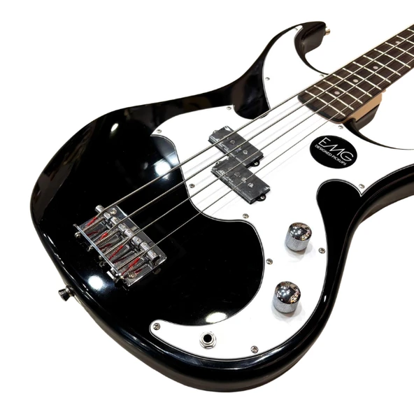 AXL AP 801 BK BAS GİTAR ürün görseli 1