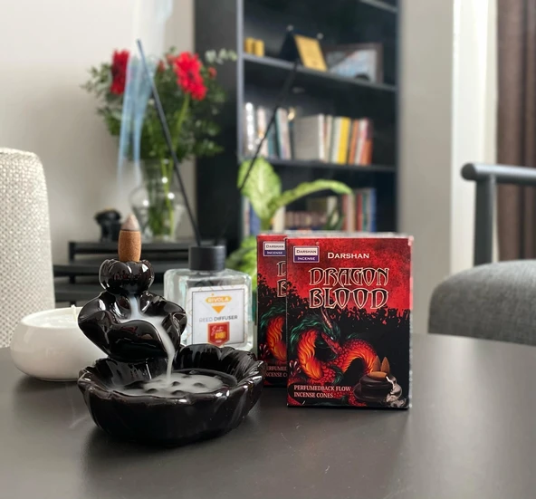 Darshan Dragon Blood Geri Akış Tütsü - Resim 3