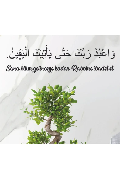 DT Dekor Treni Sana Ölüm Gelinceye kadar Rabbine İbadet Et Türkçe ve Arapça İslami -Dini Duvar Dekoru ürün görseli 1