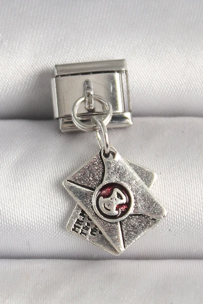 316L Çelik Gümüş Renk Mektup Model Nomination Charm ürün görseli 1