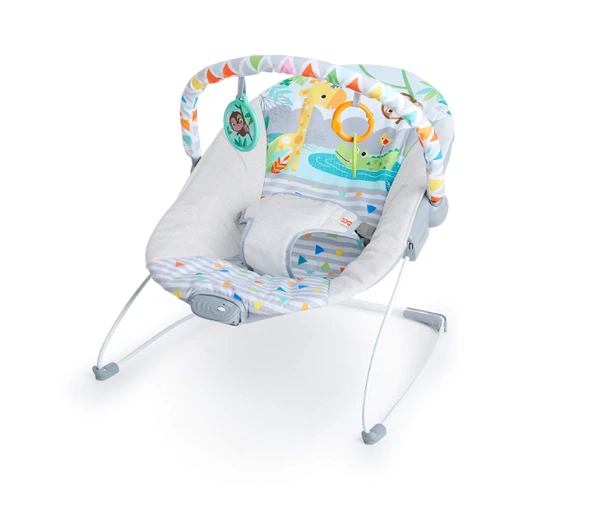 Bright Starts Bebek Salıncağı, Rahatlatıcı Titreşimli Bebek Ana Kucağı ürün görseli 1