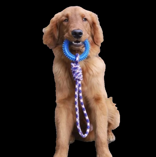 İnteraktif Çekme Halatlı Köpek Oyuncağı 43 cm ürün görseli 1