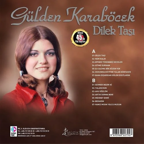 Gülden Karaböcek Dilek Taşı LP - Resim 2
