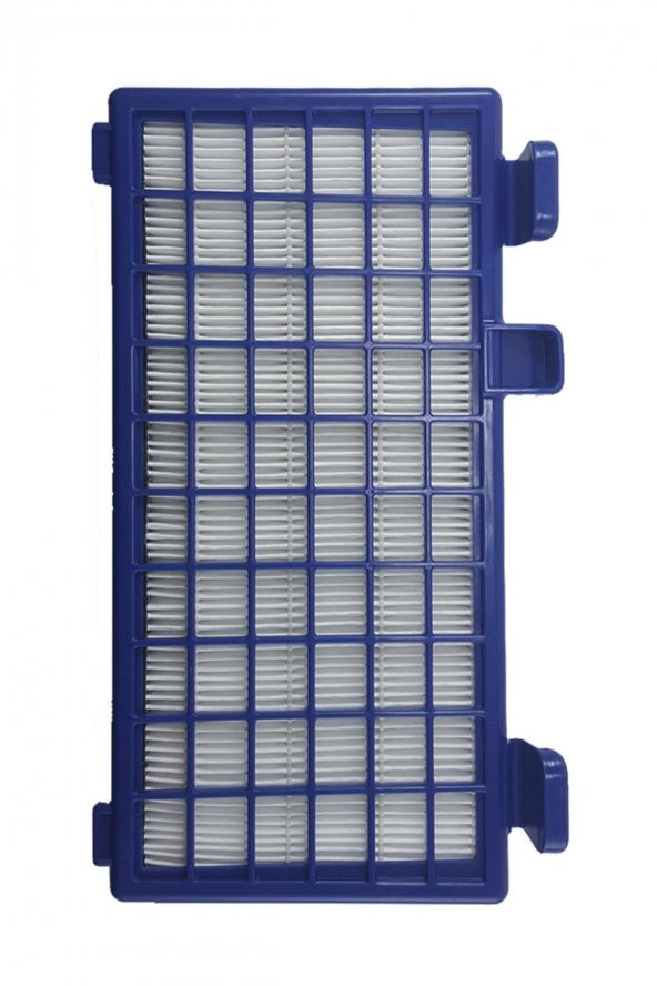 Rowenta Ro 6265 X-trem Power Cyclonic Uyumlu Hepa Filtre ürün görseli 1