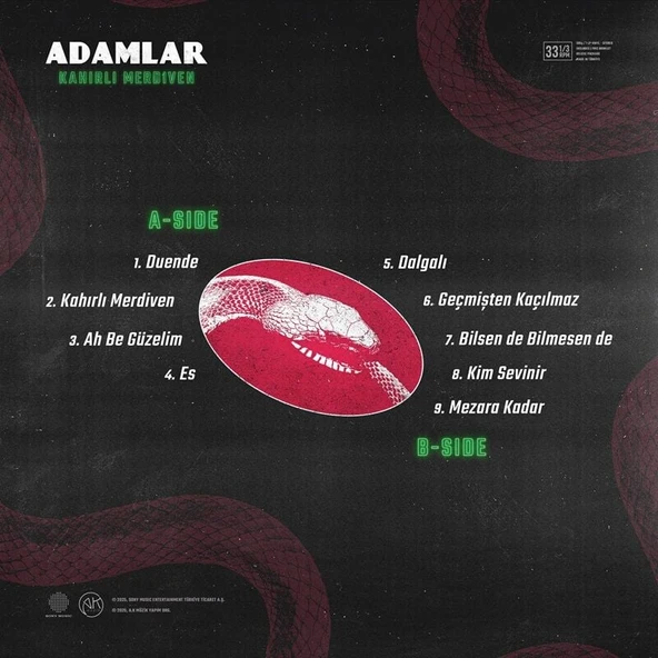 Adamlar Kahırlı Merdiven LP Plak - Resim 2