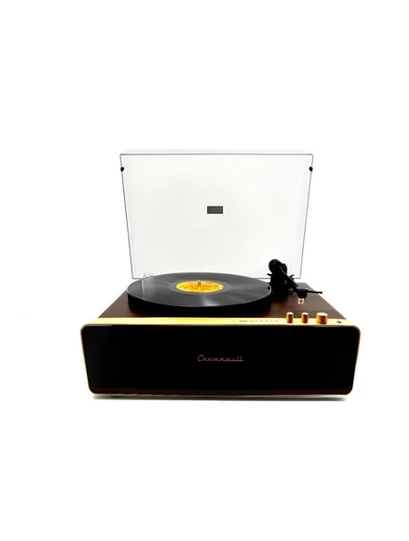 Crownwell Pikap Vegas Plus Gold Bluetoothlu Pikap Plakçalar ürün görseli 1