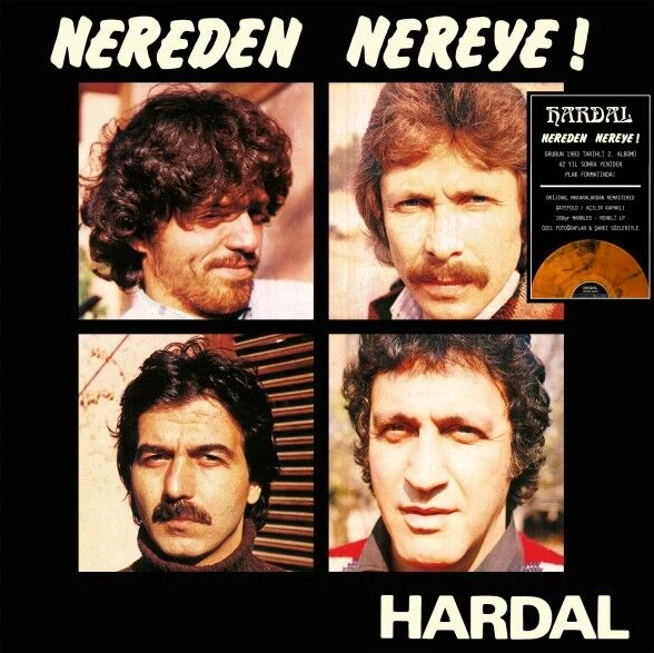 Hardal Nereden Nereye (Renkli Plak) LP Plak ürün görseli 1