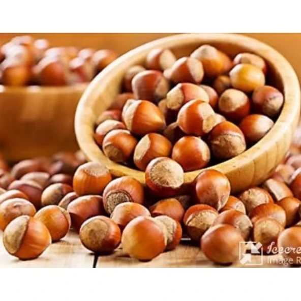 ENFEZ GİRESUN KALİTE KABUKLU FINDIK 1 KG BAHÇEMİZDEN SOFRANIZA 2025 YILI ÜRETİMİDİR ürün görseli 1