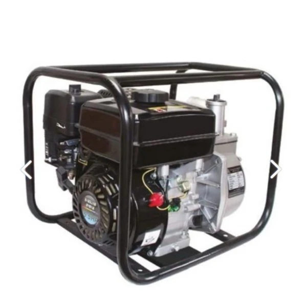 Palmera Pa 250 T Su Motoru Benzinli 5.5hp 2''inç ürün görseli 1
