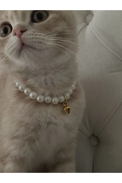 AKACAT Incili Kedi Tasması - Resim 3