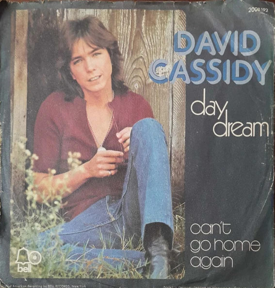 David Cassidy Day Dream 45lik Plak ürün görseli 1