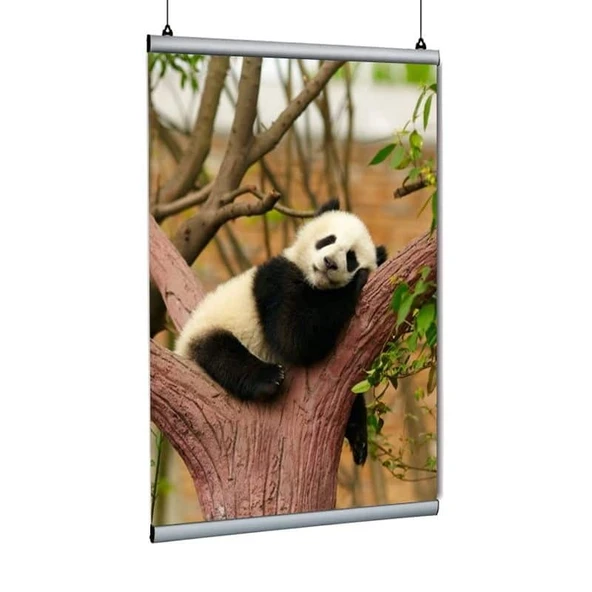 Poster Tutucu Clamp 60cm ürün görseli 1