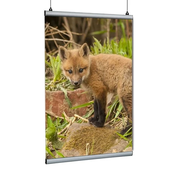 Poster Tutucu Clamp 50cm ürün görseli 1