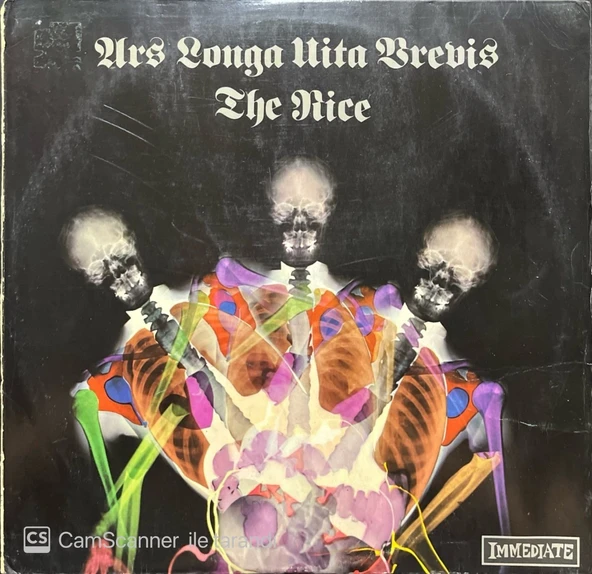 The Nice Ars Longa Vita Brevis LP Plak ürün görseli 1