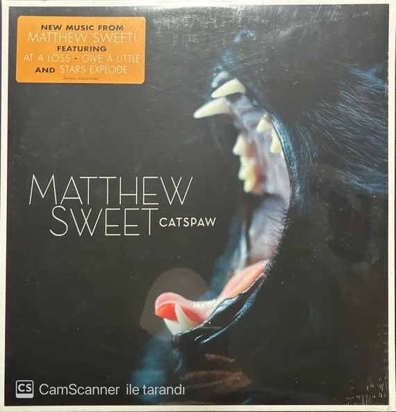 Matthew Sweet Catspaw LP Plak ürün görseli 1