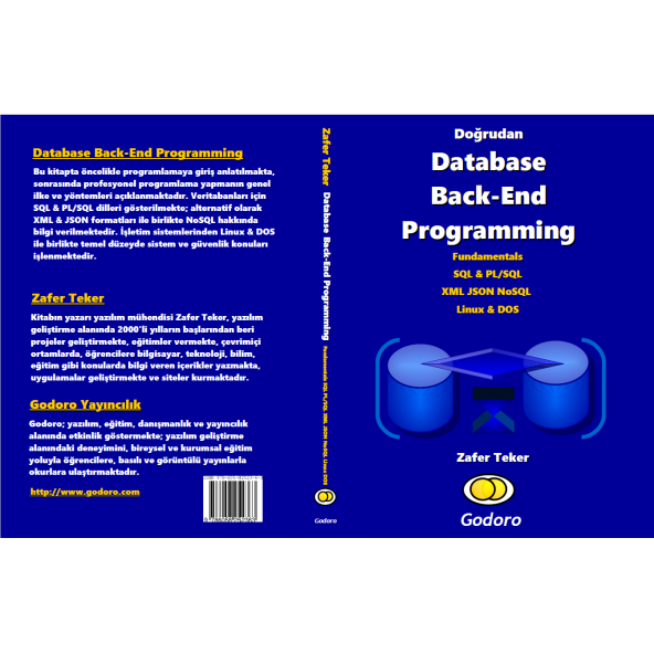 Doğrudan Database Back-End Programming - Resim 2