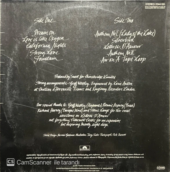Sweet Level Headed LP Plak - Resim 2