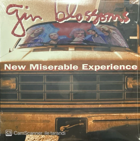 Gin Blossoms New Miserable Experience LP Plak ürün görseli 1