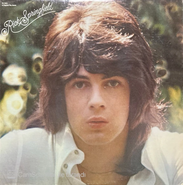 Rick Springfield Beginnings LP Plak ürün görseli 1