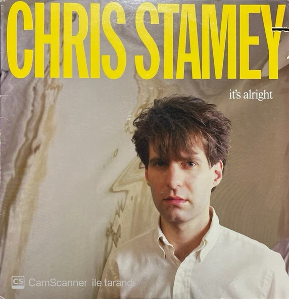 Chris Stamey It's Alright LP Plak ürün görseli 1