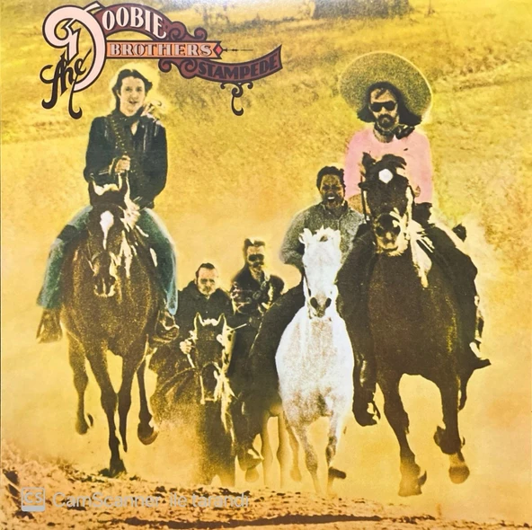 The Doobie Brothers Stampede LP Plak ürün görseli 1