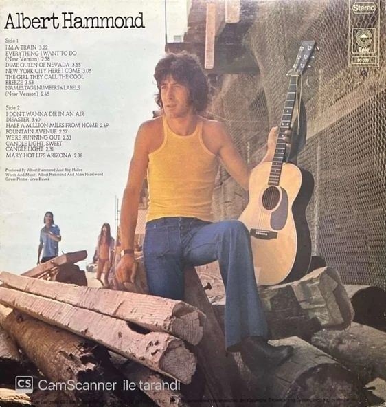 Albert Hammond Albert Hammond LP Plak - Resim 2