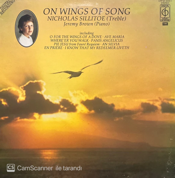 On Wings Of Songs LP Plak ürün görseli 1