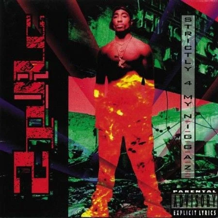 2pac Strictly 4 My N.I.G.G.A.Z... LP Plak ürün görseli 1