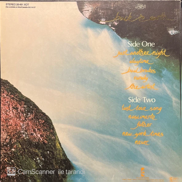 Cat Stevens Back To Earth LP Plak - Resim 2