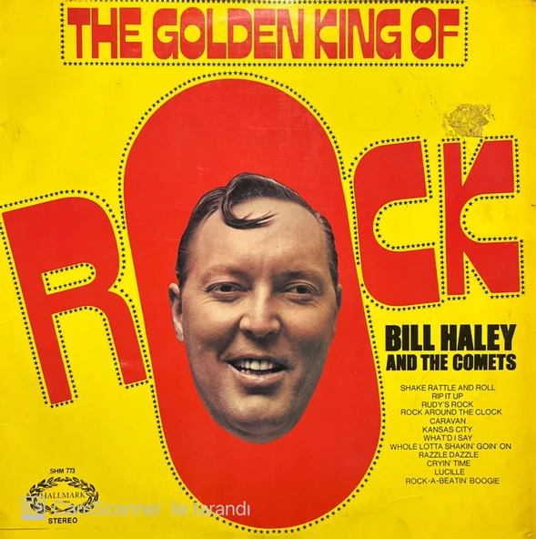 The Golden King Of Rock Bill Halley LP Plak ürün görseli 1