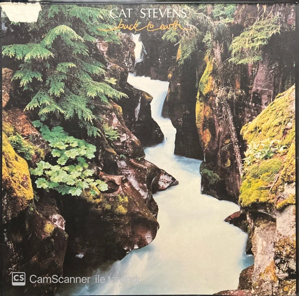 Cat Stevens Back To Earth LP Plak ürün görseli 1