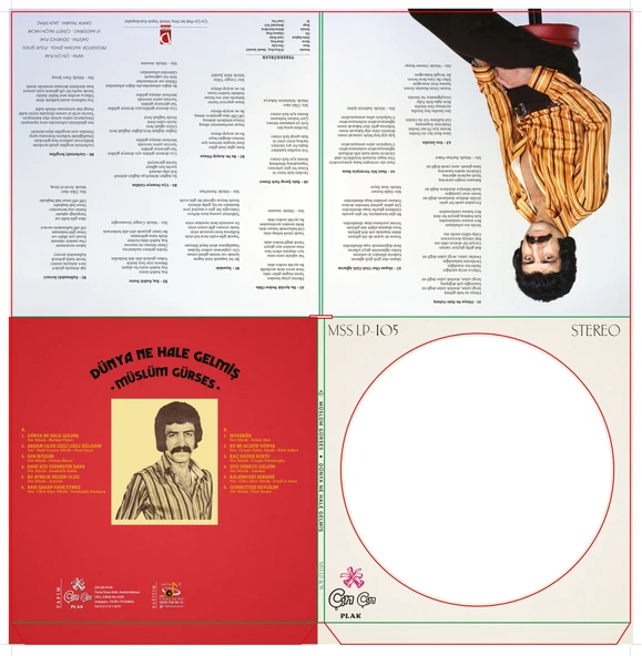 Müslüm Gürses Dünya Ne Hale Gelmiş - Picture Disk - Resim 3