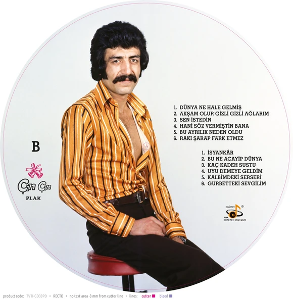 Müslüm Gürses Dünya Ne Hale Gelmiş - Picture Disk - Resim 2