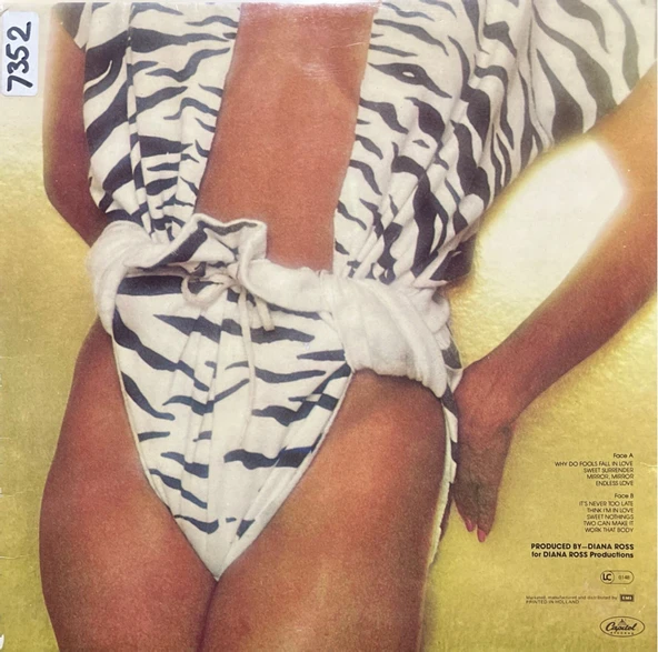 Diana Ross Endless Love LP Plak - Resim 2