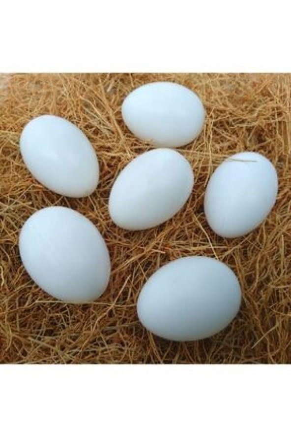 Sahte Tavuk Yumurtası (Yapay Plastik Yumurta) (10 adet) ürün görseli 1