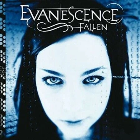 Evanescence Fallen LP Plak ürün görseli 1