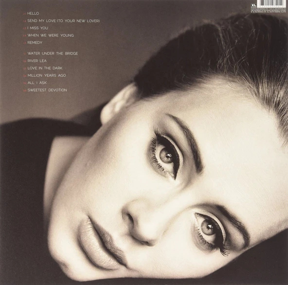Adele 25 LP Plak - Resim 2