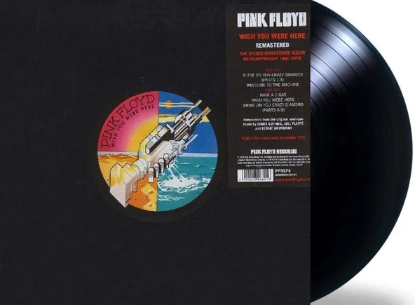 Pink Floyd Wish You Were Here LP Plak - Resim 2