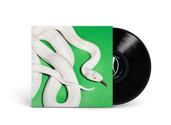 Deftones Private Music LP Plak ürün görseli 1