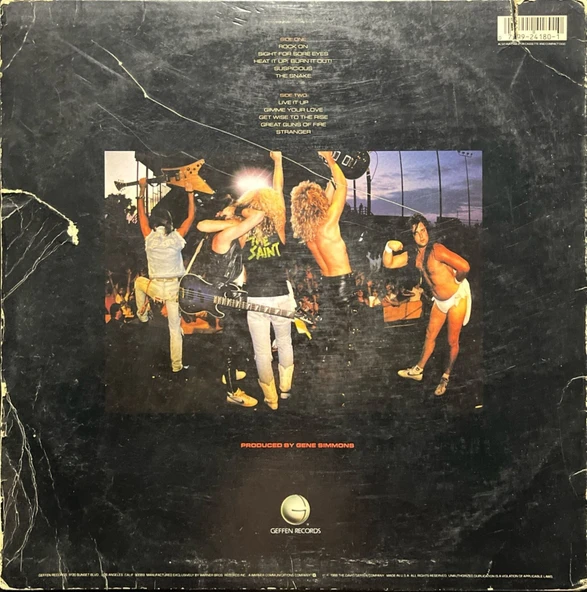 Black 'N Blue In Heat LP Plak - Resim 2