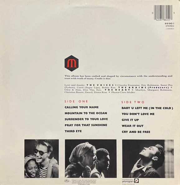 Marilyn Despite Straitht Lines LP Plak - Resim 2