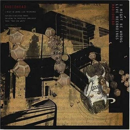 Radiohead I Might Be Wrong LP Plak ürün görseli 1