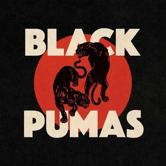 Black Pumas Black Pumas Lp Plak ürün görseli 1