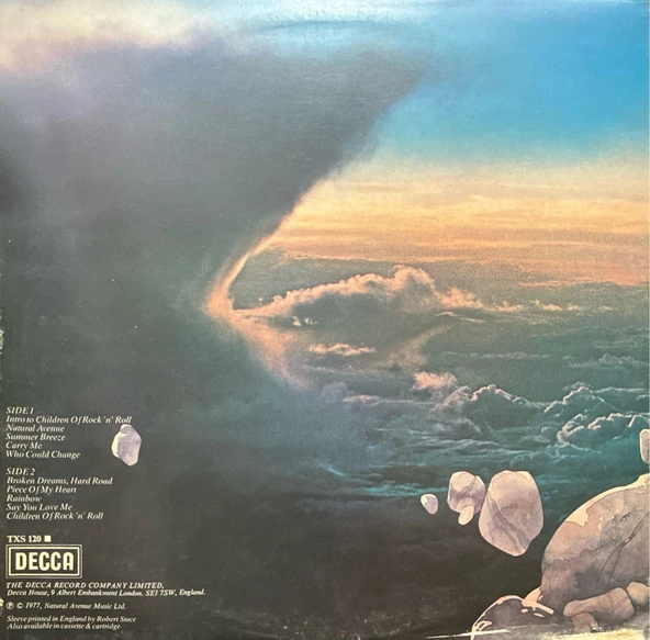 John Lodge Natural Avenue LP Plak - Resim 2