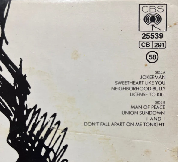 Bob Dylan Infidels LP Plak - Resim 3