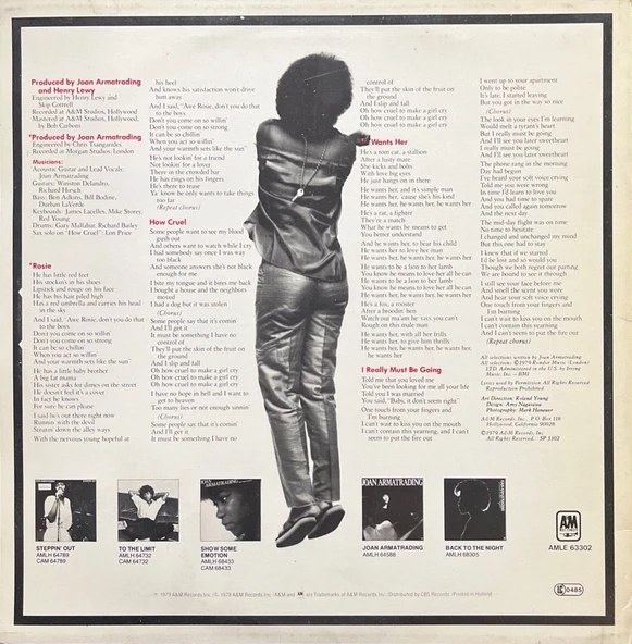Joan Armatrading How Cruel LP Plak - Resim 2