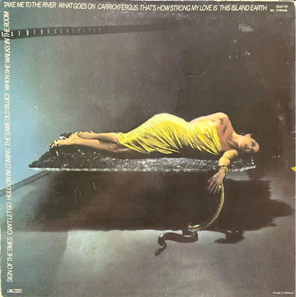 Bryan Ferry The Bridge Stripped Bare LP Plak - Resim 2